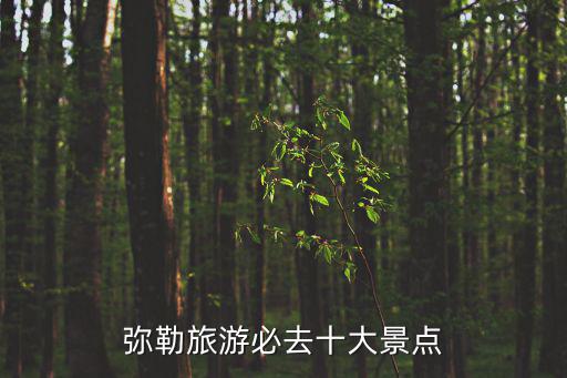彌勒景點，彌勒景區(qū)