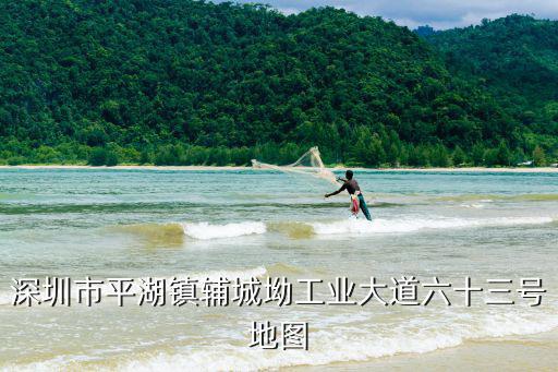 深圳市平湖鎮輔城坳工業大道六十三號地圖
