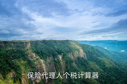 保險代理人個稅計算器