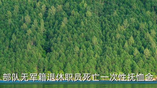 部隊無軍籍退休職員死亡一次性撫恤金