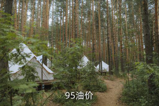 廣東最新油價，廣東98 95加油什么意思