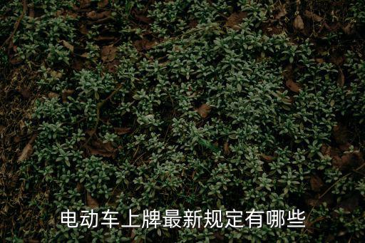 電動車上牌最新規定有哪些