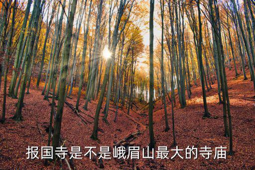 報(bào)國寺是不是峨眉山最大的寺廟