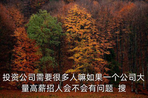 投資公司需要很多人嘛如果一個(gè)公司大量高薪招人會(huì)不會(huì)有問(wèn)題  搜