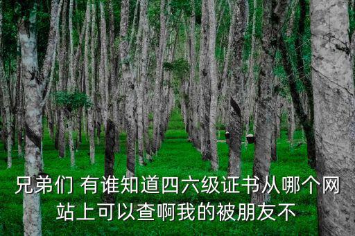 兄弟們 有誰知道四六級證書從哪個網(wǎng)站上可以查啊我的被朋友不