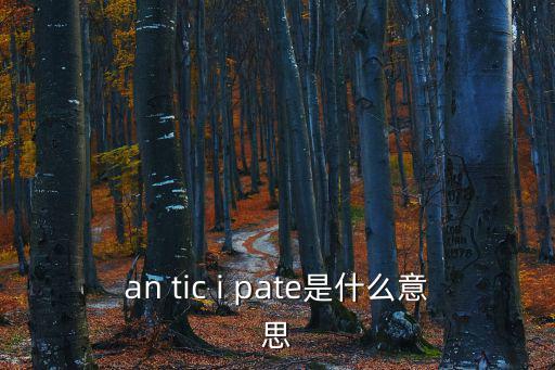 an tic i pate是什么意思