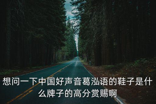 想問一下中國好聲音葛泓語的鞋子是什么牌子的高分賞賜啊