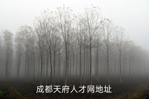 成都天府人才網地址