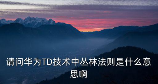 請問華為TD技術(shù)中叢林法則是什么意思啊