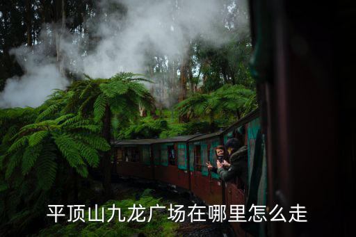 平頂山九龍廣場在哪里怎么走