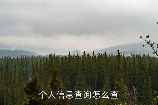個人信息查詢怎么查