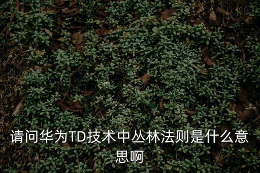 什么是叢林法則，甚么是叢林法則