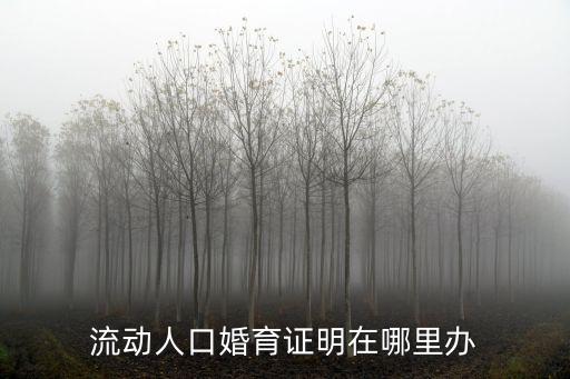 流動人口婚育證明，流動人口婚育證明可以在異地辦理嗎