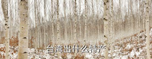 臺(tái)灣出什么特產(chǎn)
