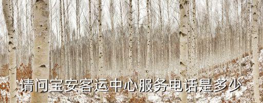 請問寶安客運中心服務電話是多少