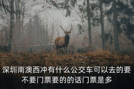 深圳南澳西沖有什么公交車可以去的要不要門票要的的話門票是多