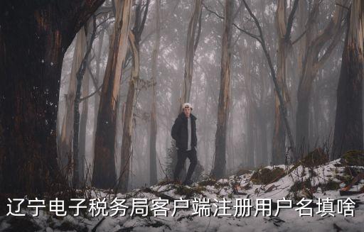 遼寧電子稅務局客戶端注冊用戶名填啥