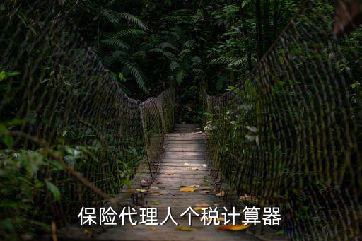 個稅計算器在線計算，個稅計算器2020計算公式