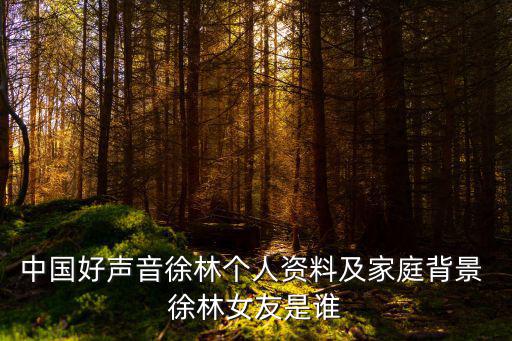 徐林，中國好聲音徐林個人資料及家庭背景 徐林女友是誰