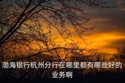 渤海銀行杭州分行在哪里都有哪些好的業務啊