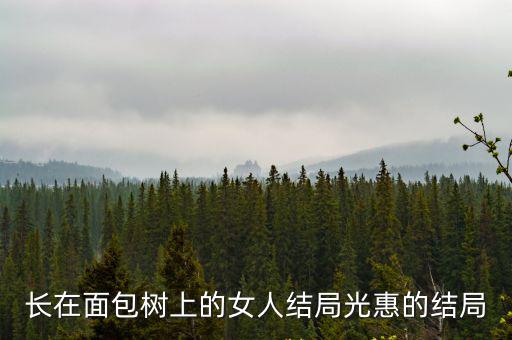 長在面包樹上的女人結局光惠的結局