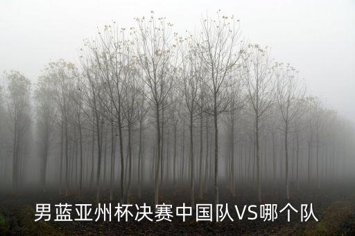 男藍亞州杯決賽中國隊VS哪個隊
