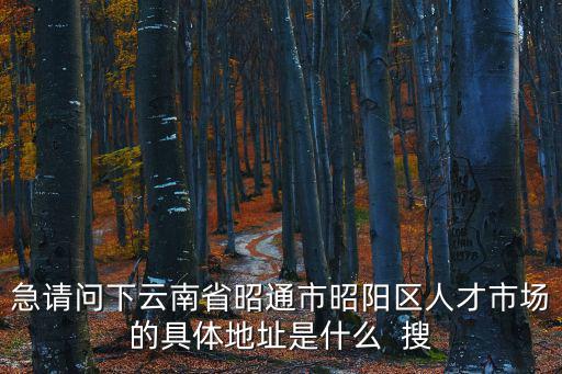 急請問下云南省昭通市昭陽區人才市場的具體地址是什么  搜