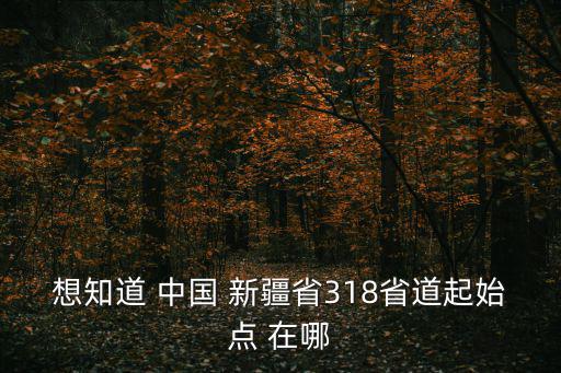 318線，318線2560公里加500米處在哪