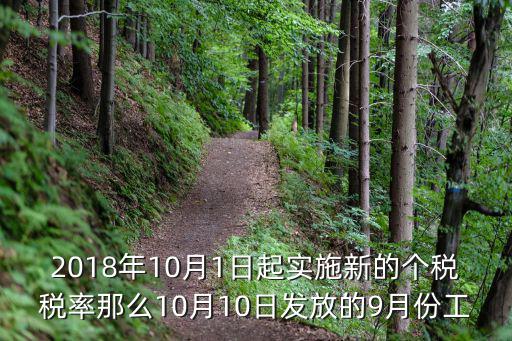 2018年10月1日起實(shí)施新的個稅稅率那么10月10日發(fā)放的9月份工