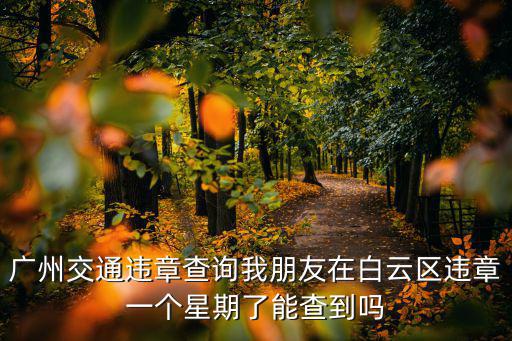 廣州交通違章查詢我朋友在白云區違章一個星期了能查到嗎