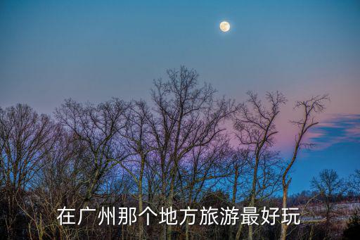 在廣州那個地方旅游最好玩