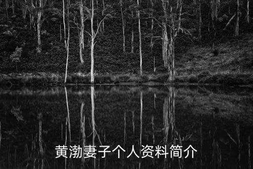 黃渤妻子個人資料簡介
