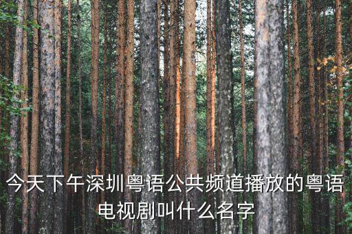今天下午深圳粵語公共頻道播放的粵語電視劇叫什么名字