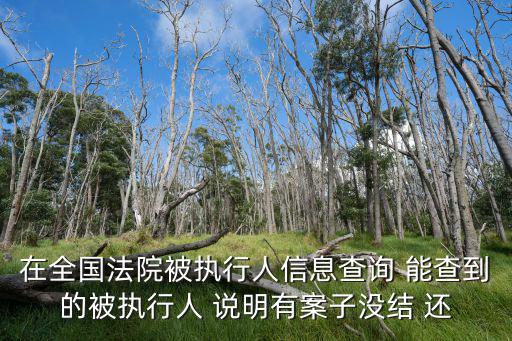 全國失信人員查詢系統，在全國法院被執行人信息查詢 能查到的被執行人 說明有案子沒結 還