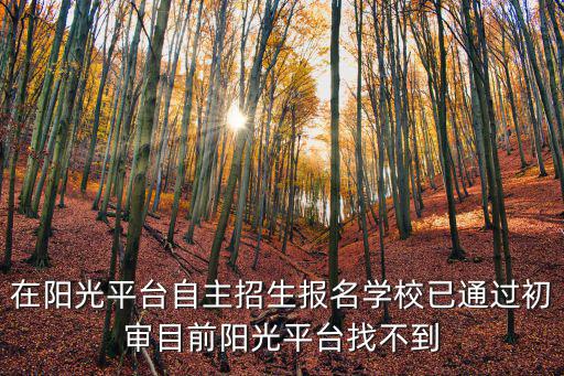 在陽光平臺自主招生報名學校已通過初審目前陽光平臺找不到