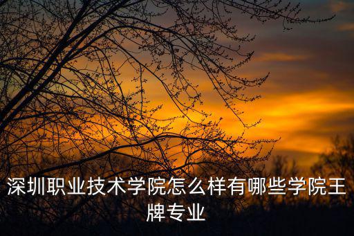 深圳職業(yè)技術(shù)學院怎么樣有哪些學院王牌專業(yè)