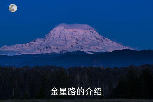 金星路的介紹
