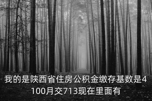 我的是陜西省住房公積金繳存基數(shù)是4100月交713現(xiàn)在里面有