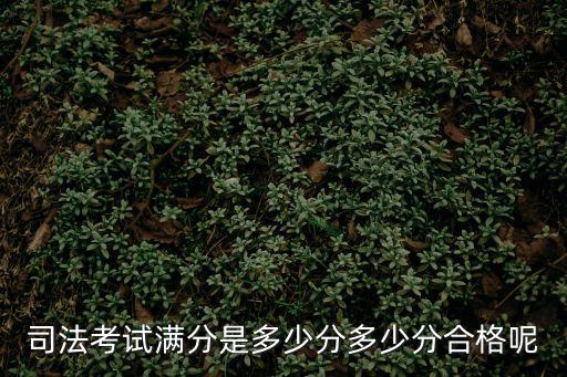 司法考試滿分是多少分多少分合格呢