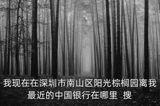 我現在在深圳市南山區陽光棕櫚園離我最近的中國銀行在哪里  搜