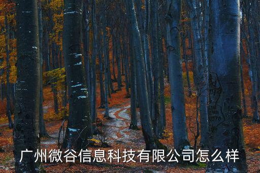 廣州微谷信息科技有限公司怎么樣