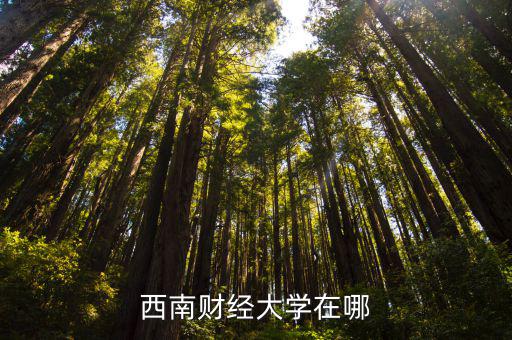 西南財經大學在哪，西南財經大學在綿陽哪個區