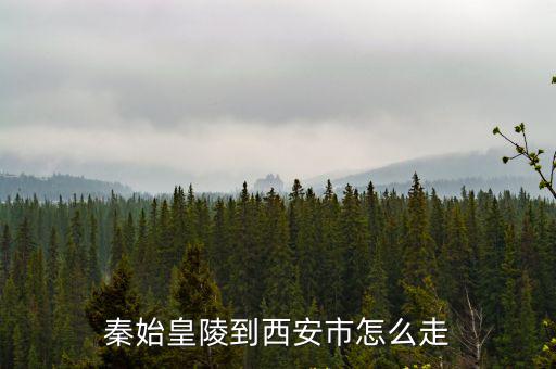 秦始皇陵到西安市怎么走
