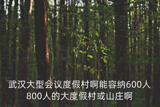 武漢大型會議度假村啊能容納600人800人的大度假村或山莊啊