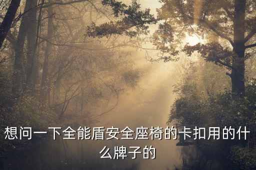 想問(wèn)一下全能盾安全座椅的卡扣用的什么牌子的