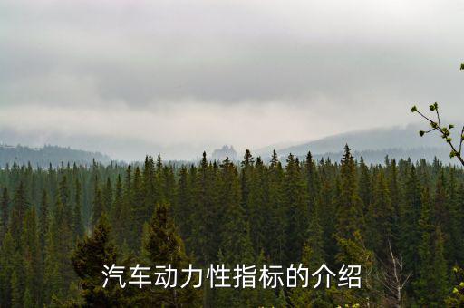汽車(chē)指標(biāo)，汽車(chē)動(dòng)力性指標(biāo)的介紹