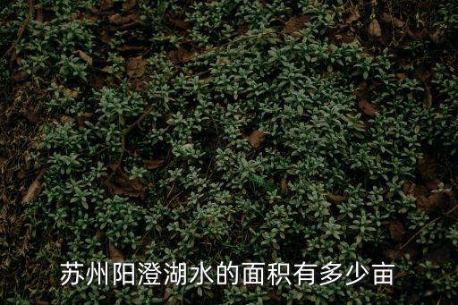 蘇州陽澄湖水的面積有多少畝