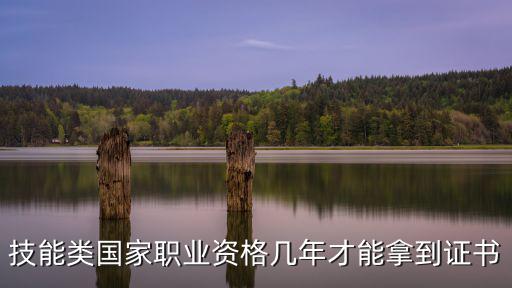 技能類國家職業資格幾年才能拿到證書