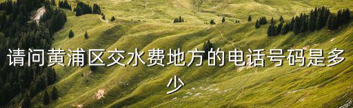 請問黃浦區交水費地方的電話號碼是多少