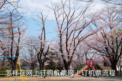 訂飛機票官網，訂飛機票哪個網站好